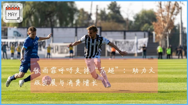 张雨霏呼吁支持“苏超”：助力文旅发展与消费增长