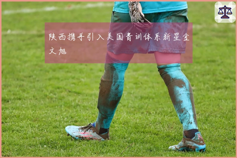 陕西携手引入美国青训体系新星金文旭